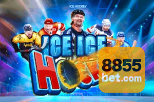 855BET feedback — categorias de sugestão e melhoria no app