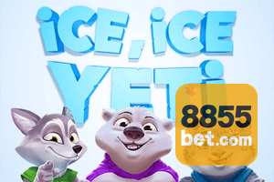 855BET feedback — formulário de envio no aplicativo oficial