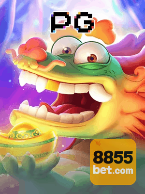855BET bet — painel ao vivo com cotações dinâmicas