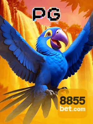 855BET bônus — cashback 15 por cento e níveis VIP