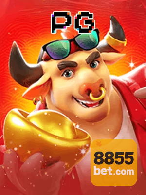 855BET cadastro — tela de formulário no app oficial