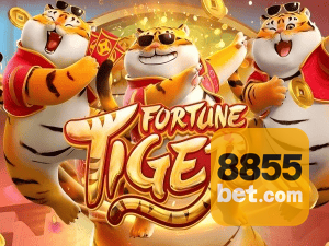 Guia install APK 855BET BR