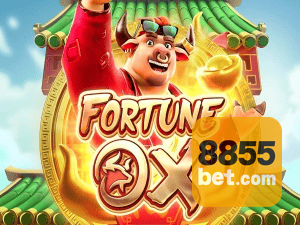 855BET login — painel de entrada no app oficial
