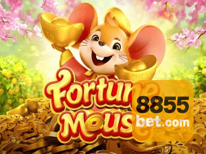 855BET login — configurações de segurança e proteção de conta