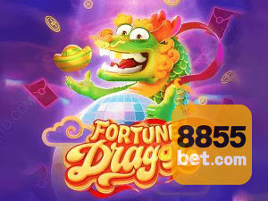 855BET download — arquivo APK para Android oficial